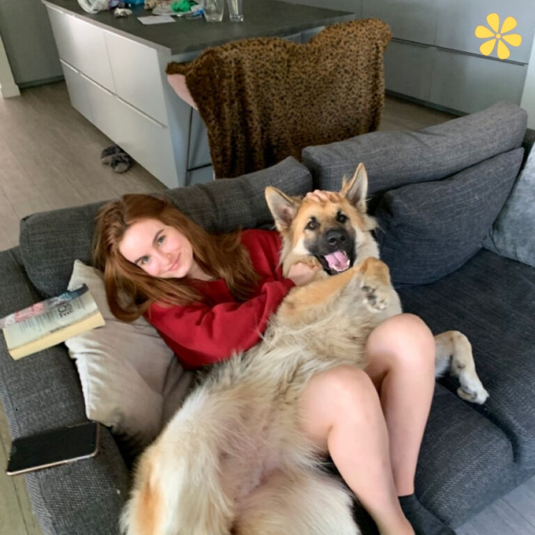 Pets Captions for Instagram 1