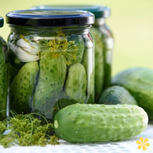 200+ Pickle Day Quotes for Celebrating the Fun and Flavor
