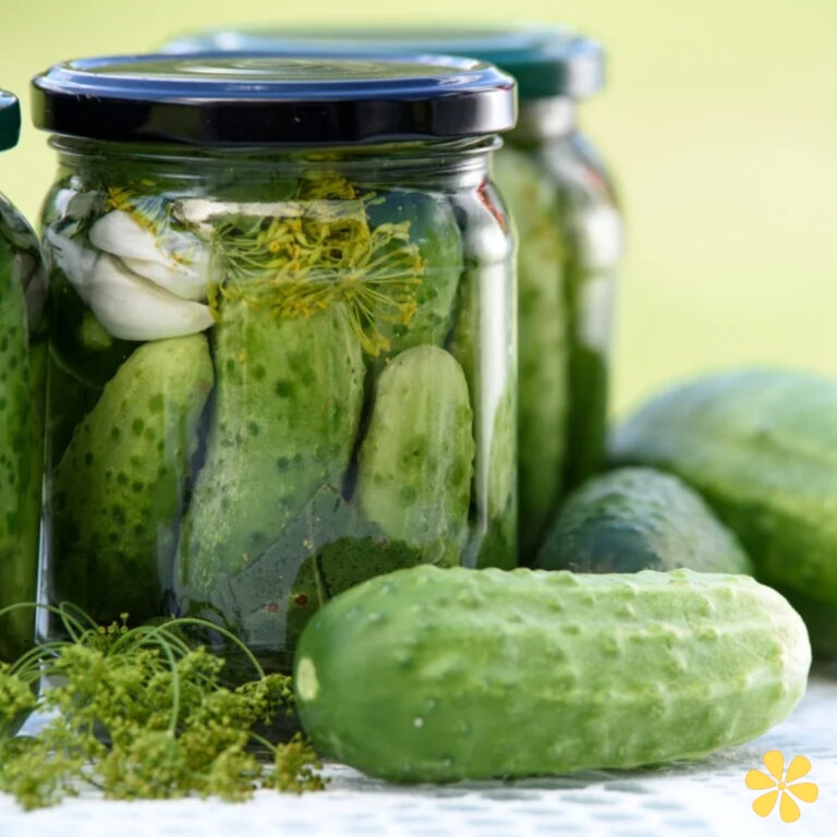 Pickle Day Quotes
