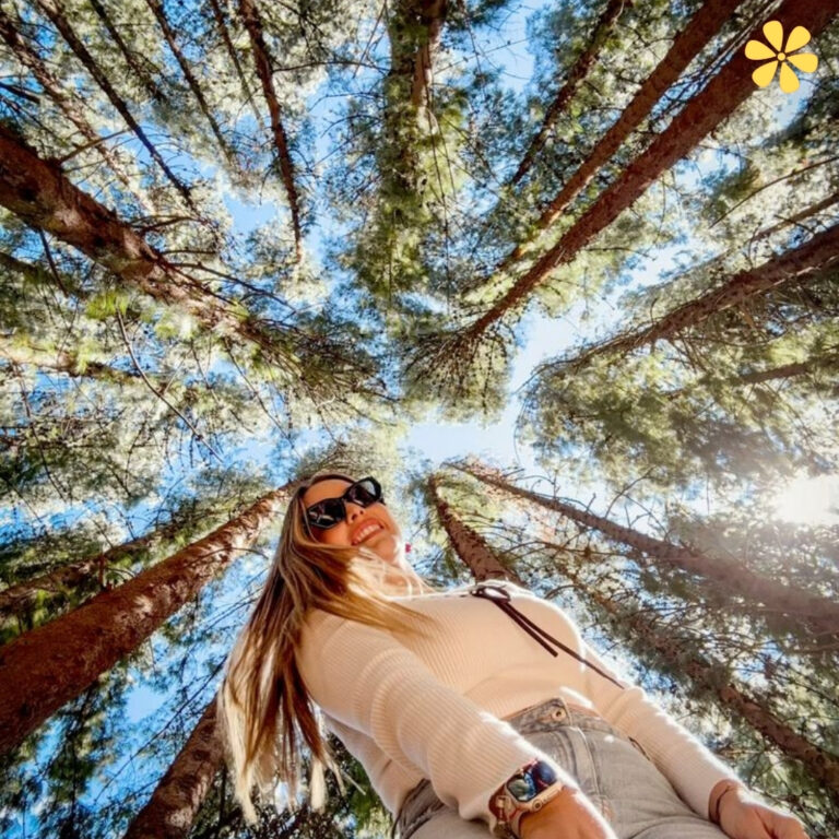 Pine Tree Captions For Instagram