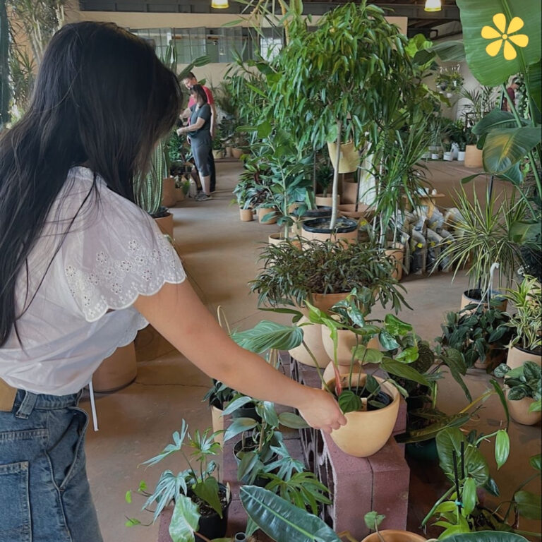 Plant Captions For Instagram