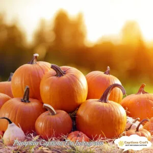 135+ Magical Pumpkin Captions For Instagram and Quotes to Celebrate Fall Vibes