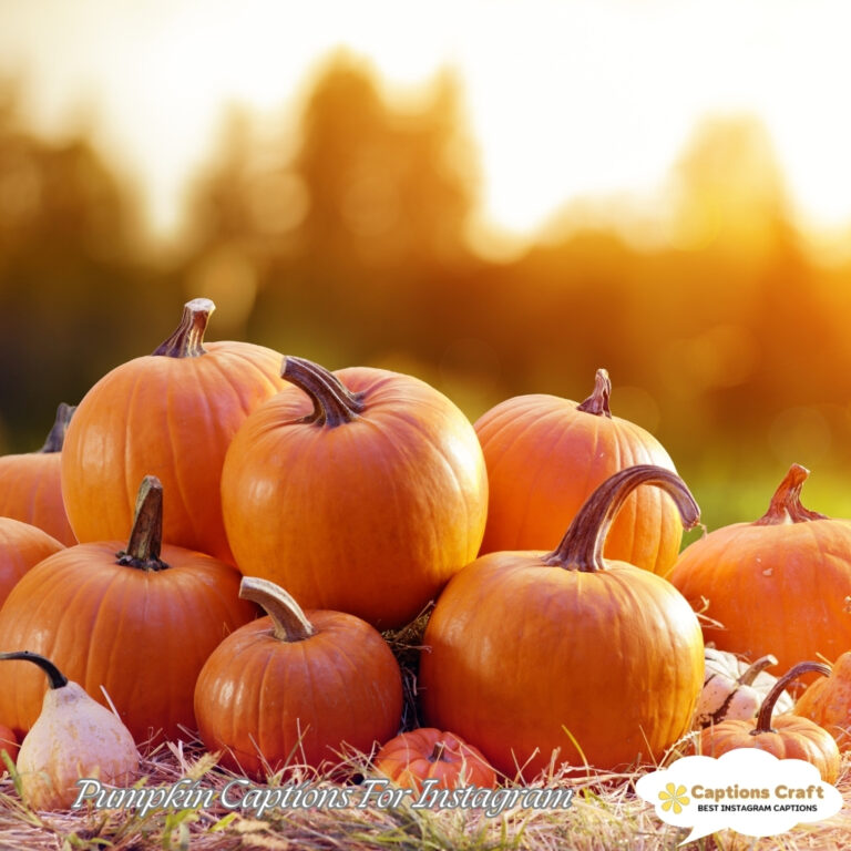 A stack of pumpkins on straw with a warm sunset in the background.