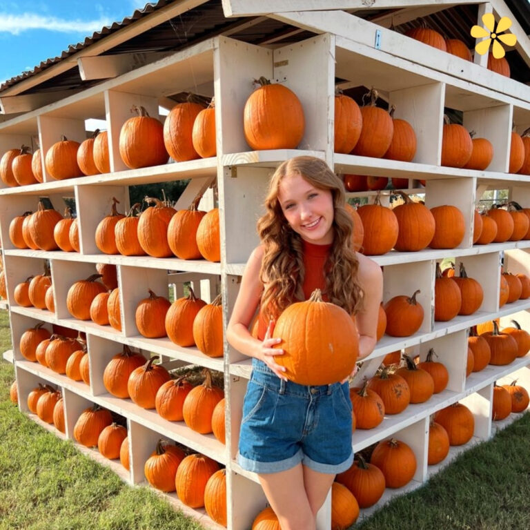 Pumpkin Patch Instagram Captions