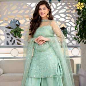 200+ Punjabi Suit Captions For Instagram to Shine Bright yzz