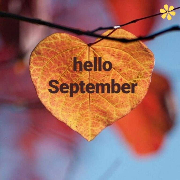 September Holiday Captions