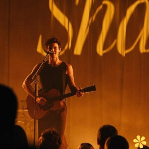 200+ Shawn Mendes Lyrics Captions for Your Perfect Post y