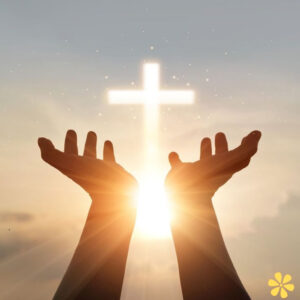 200+ Thankfulness Quotes to Inspire Gratitude and Positivity y