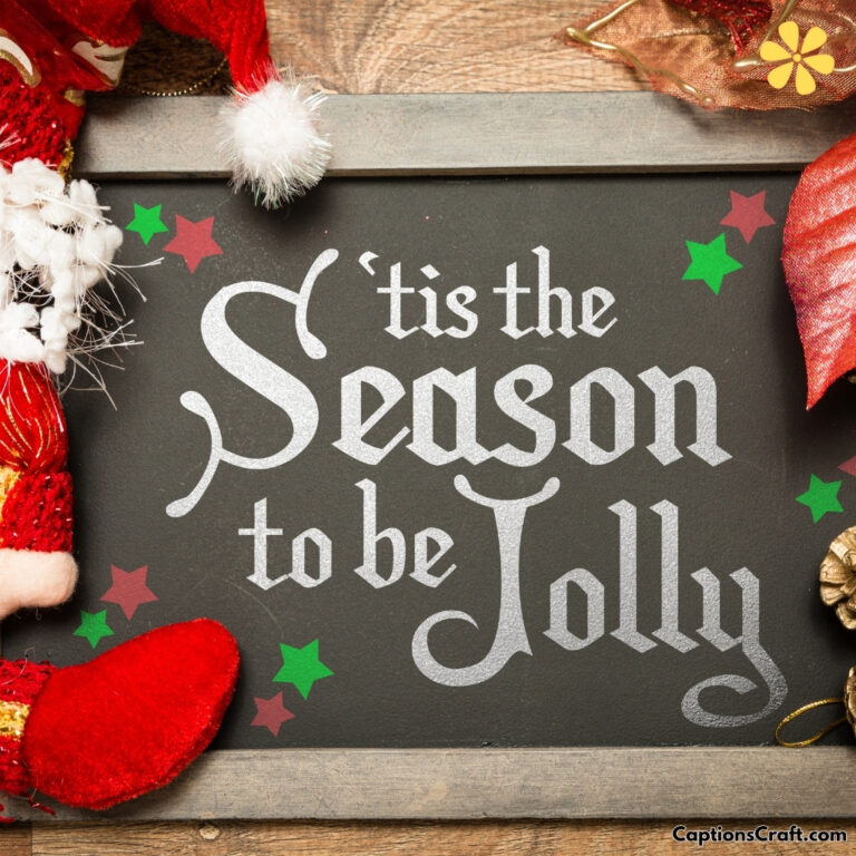 Tis The Season Instagram Captions