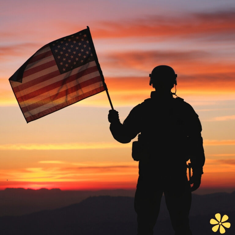 Veterans Day Captions