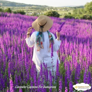 135+ Blissful Lavender Captions For Instagram and Quotes to Brighten Your Feed