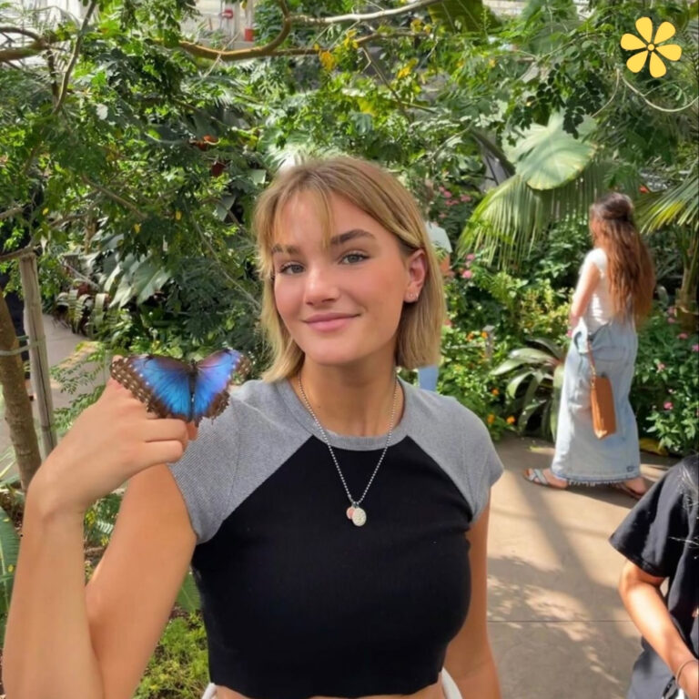 Butterfly Captions For Instagram