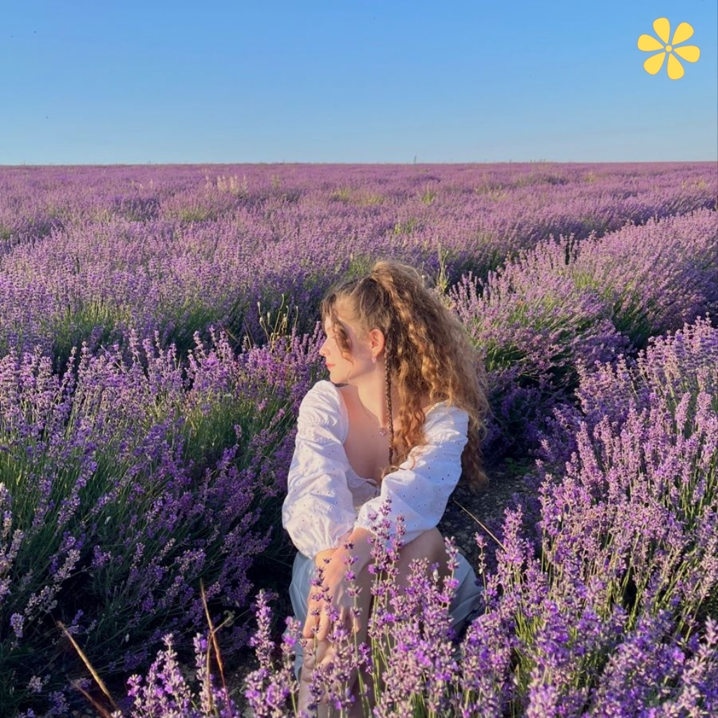 Lavender Captions For Instagram