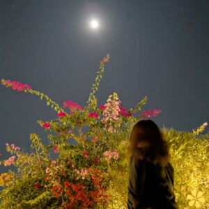 200+ Moon Captions Instagram to Illuminate Your Night Sky Moments