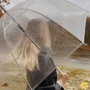 200+ Rain Aesthetic Captions to Embrace the Beauty of Raindrops and Clouds