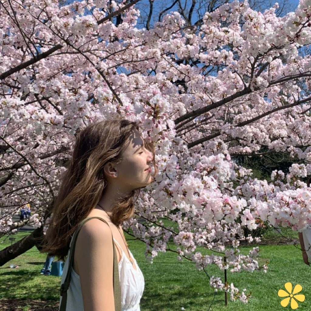 Spring Captions