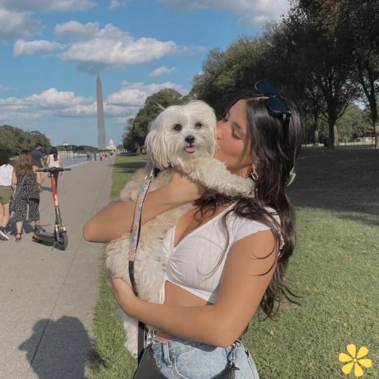 Animal Captions Instagram