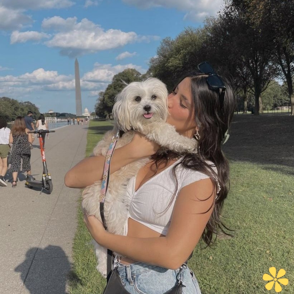 Animal Captions Instagram