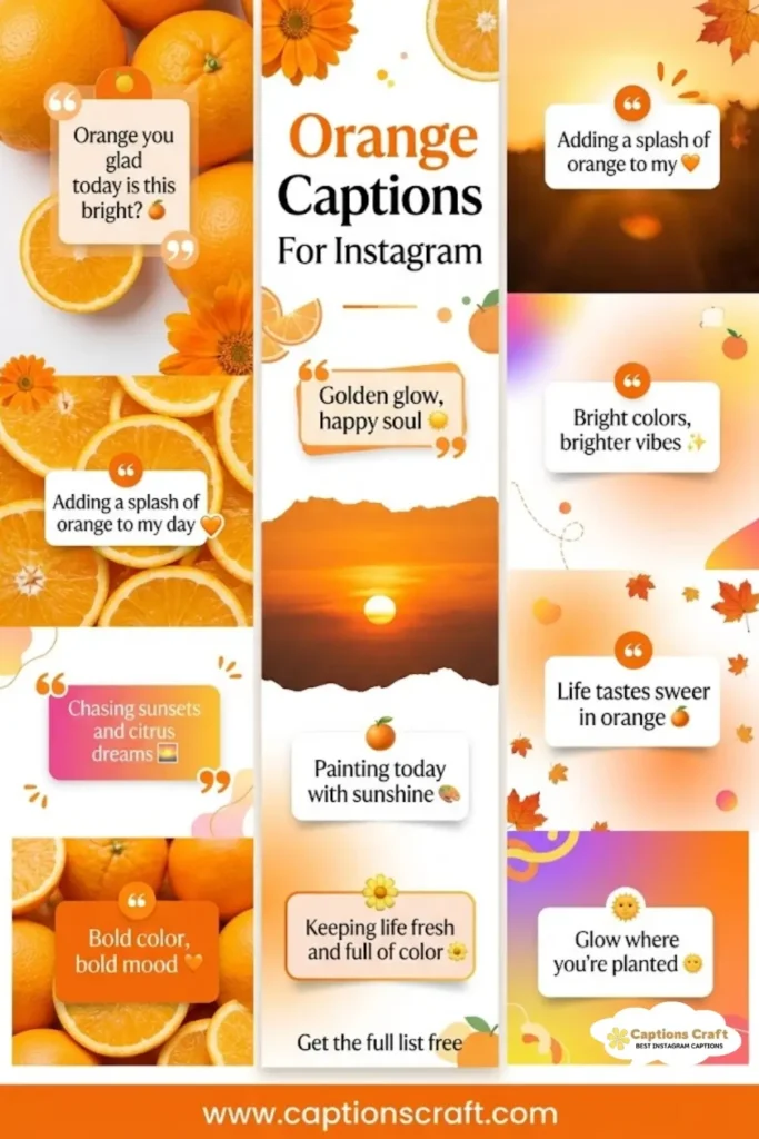 123+ Creative Orange Captions For Instagram and Quotes to Brighten Your Feed