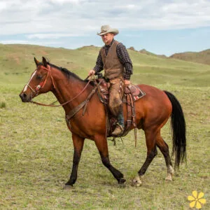 Saddle Up with 139+ Cowboy Captions For Instagram and Quotes That Shine Bright