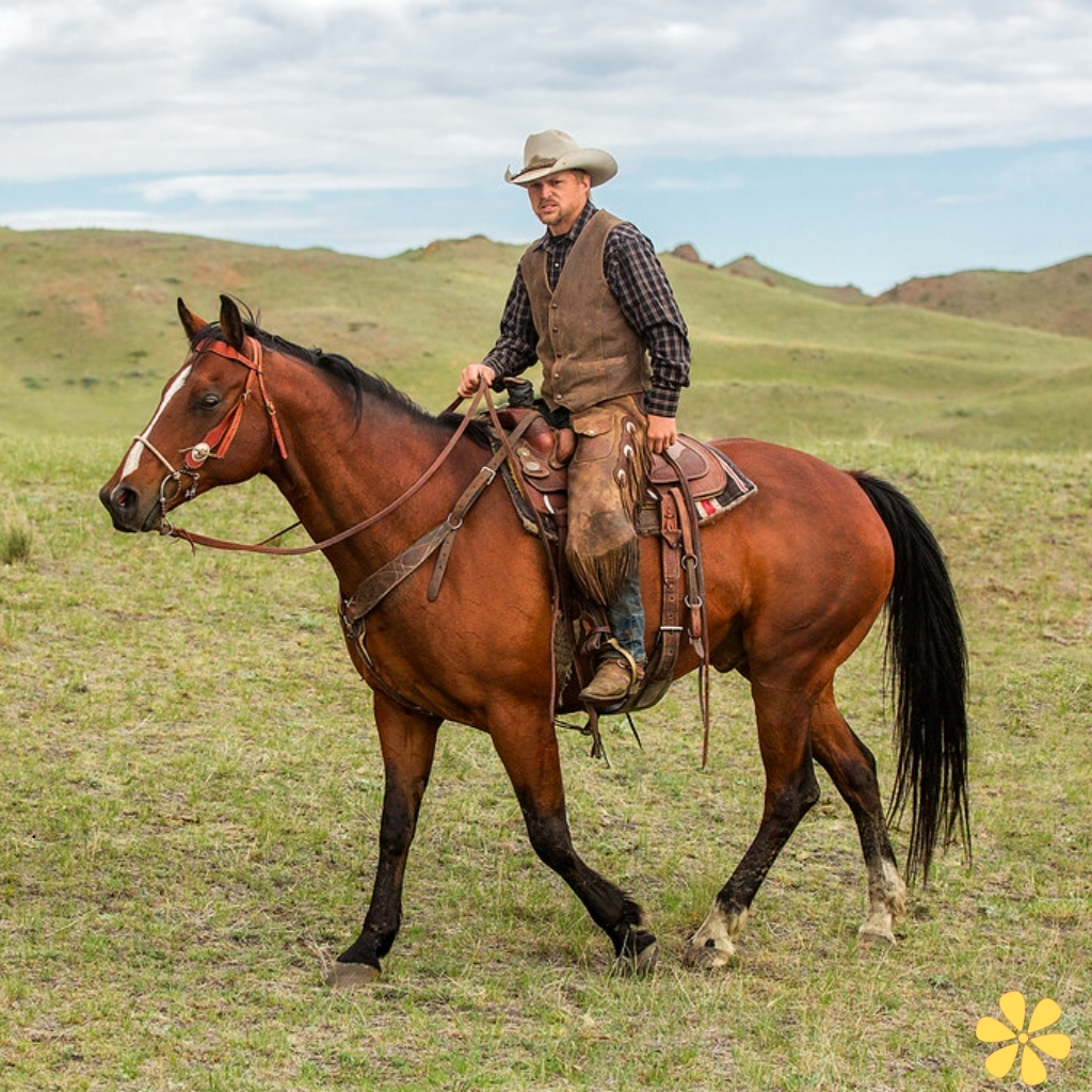 200+ Cowboy Captions For Instagram That Capture the Wild West Spirit 3 Cowboy Captions For Instagram