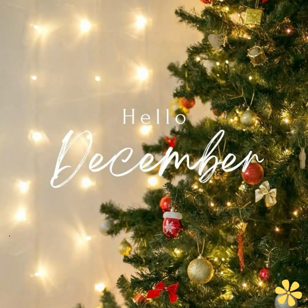 200+ December Captions to Celebrate the Magic of the Holiday Season y 5 December Captions