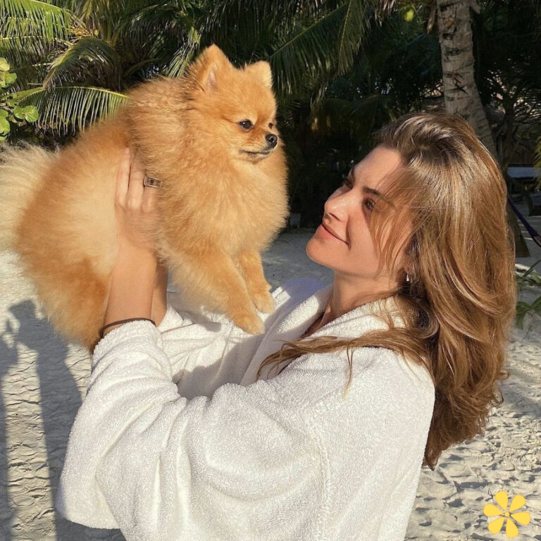 Dog Captions For Insta