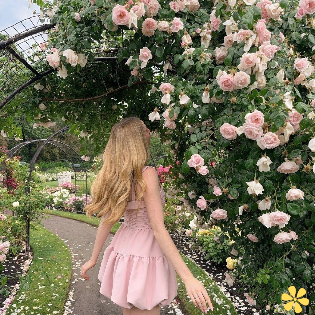 200+ Flowers Aesthetic Captions to Brighten Your Floral Vibes and Moments y 17 Flowers Aesthetic Captions