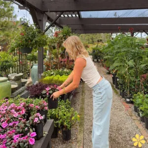 143+ Blooming Garden Captions For Instagram And Quotes to Inspire Your Green Thumb