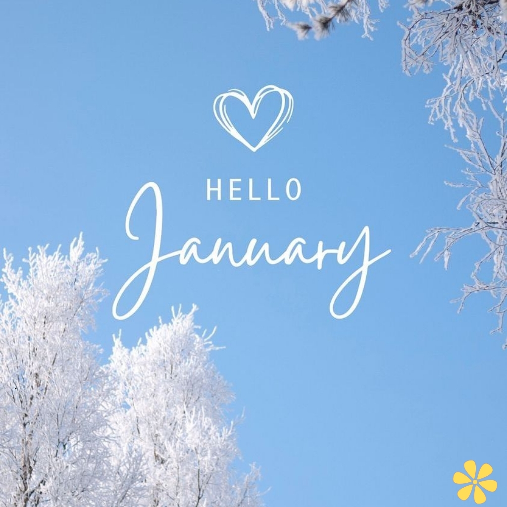200+ January Captions Instagram to Spark Your New Year Inspiration and Fun y 4 January Captions Instagram