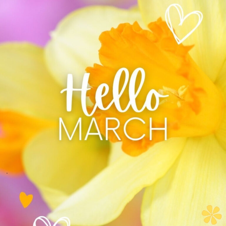 Close-up of a yellow daffodil with white text saying 'Hello March' in a playful font.