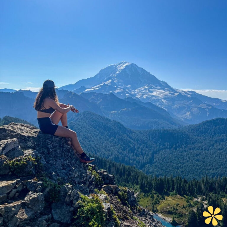Person sitting on a rock, gazing at a majestic mountain view.