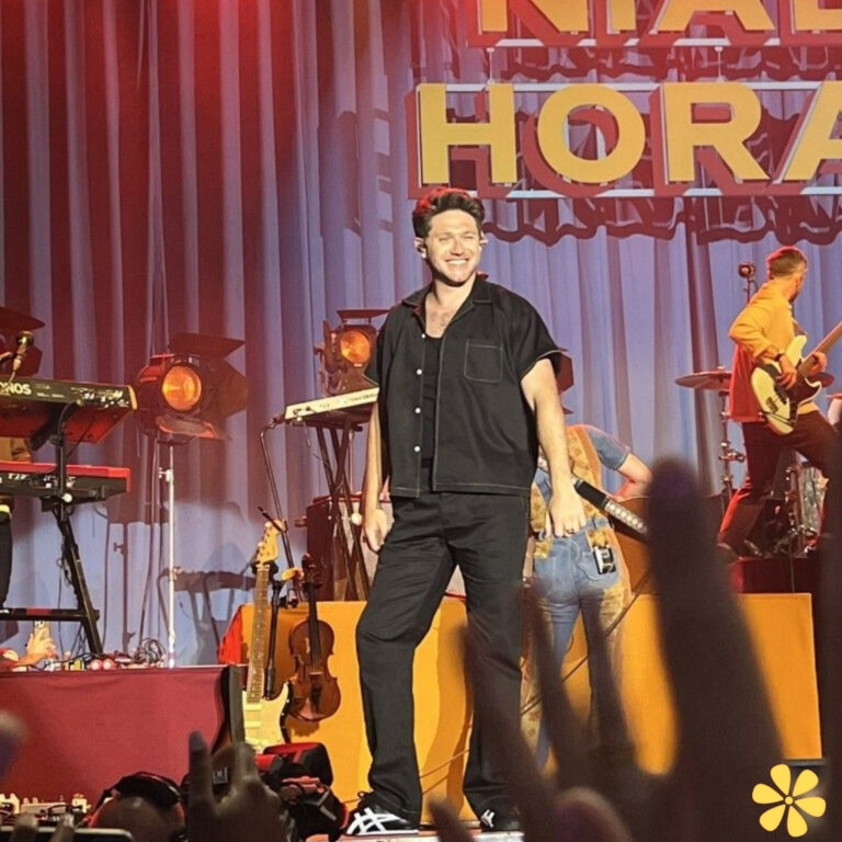 Niall Horan Instagram Captions