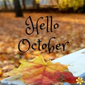 200+ October Captions to Capture the Spirit of Fall and Halloween Fun