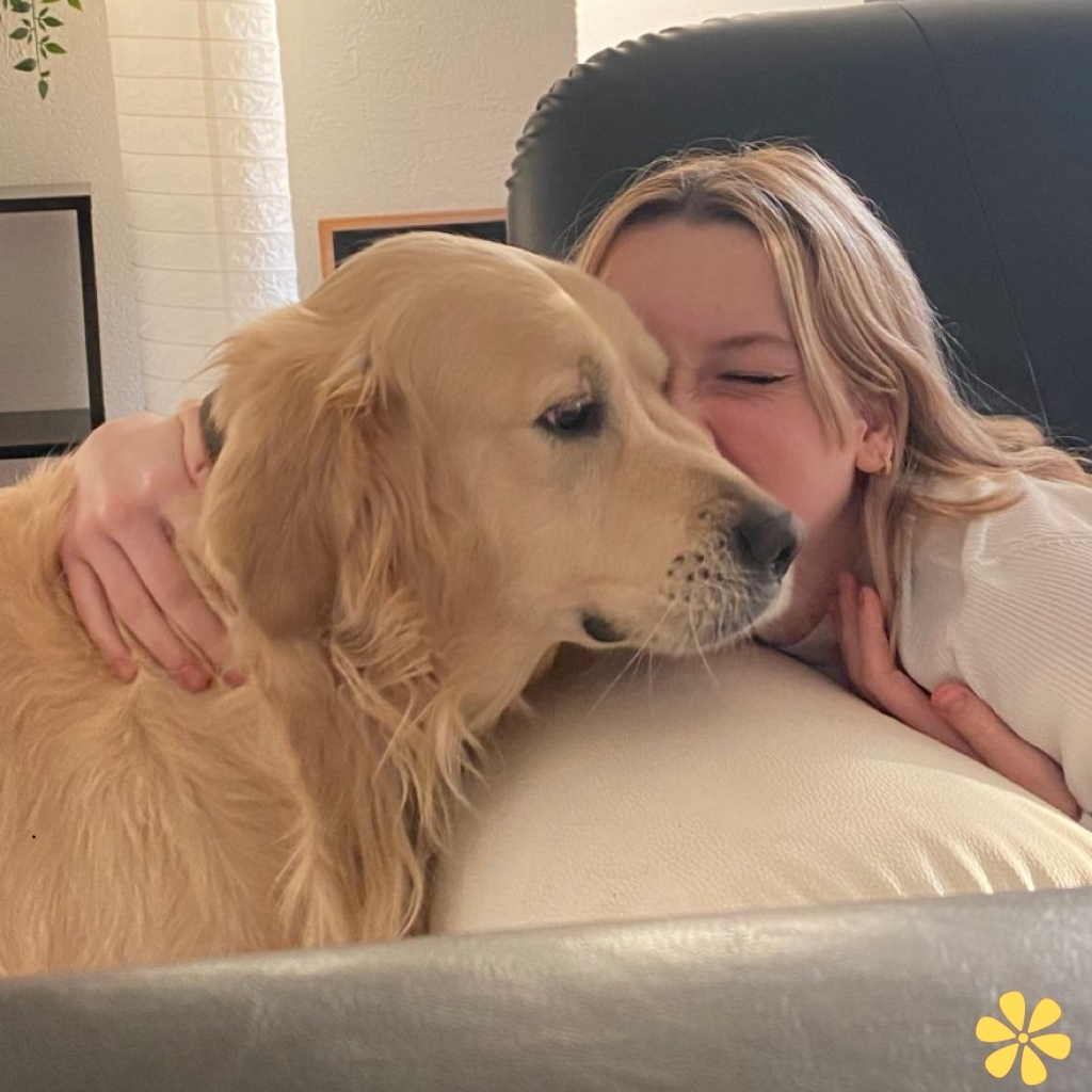 200+ Pet Captions Instagram Dog That Will Make You Smile and Wag Your Tail y 13 Pet Captions Instagram Dog
