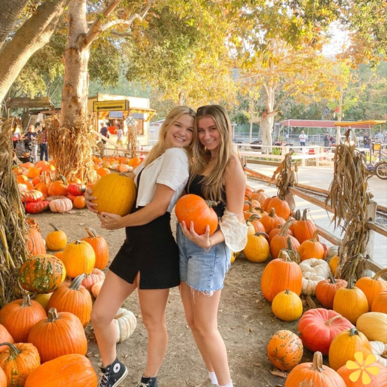 Pumpkin Patch Captions