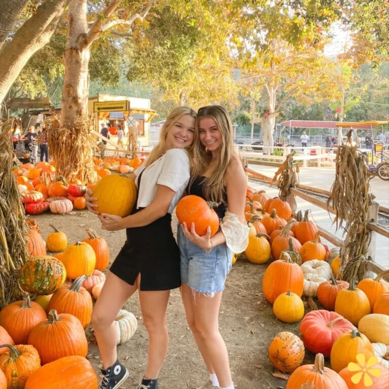 143+ Charming Pumpkin Patch Captions For Instagram and Quotes to Fall in Love With