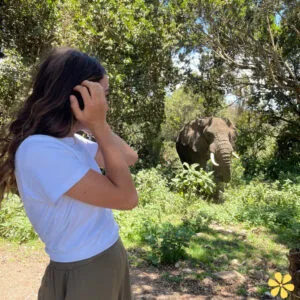 137+ Inspiring Safari Captions For Instagram and Quotes to Ignite Your Adventure Spirit