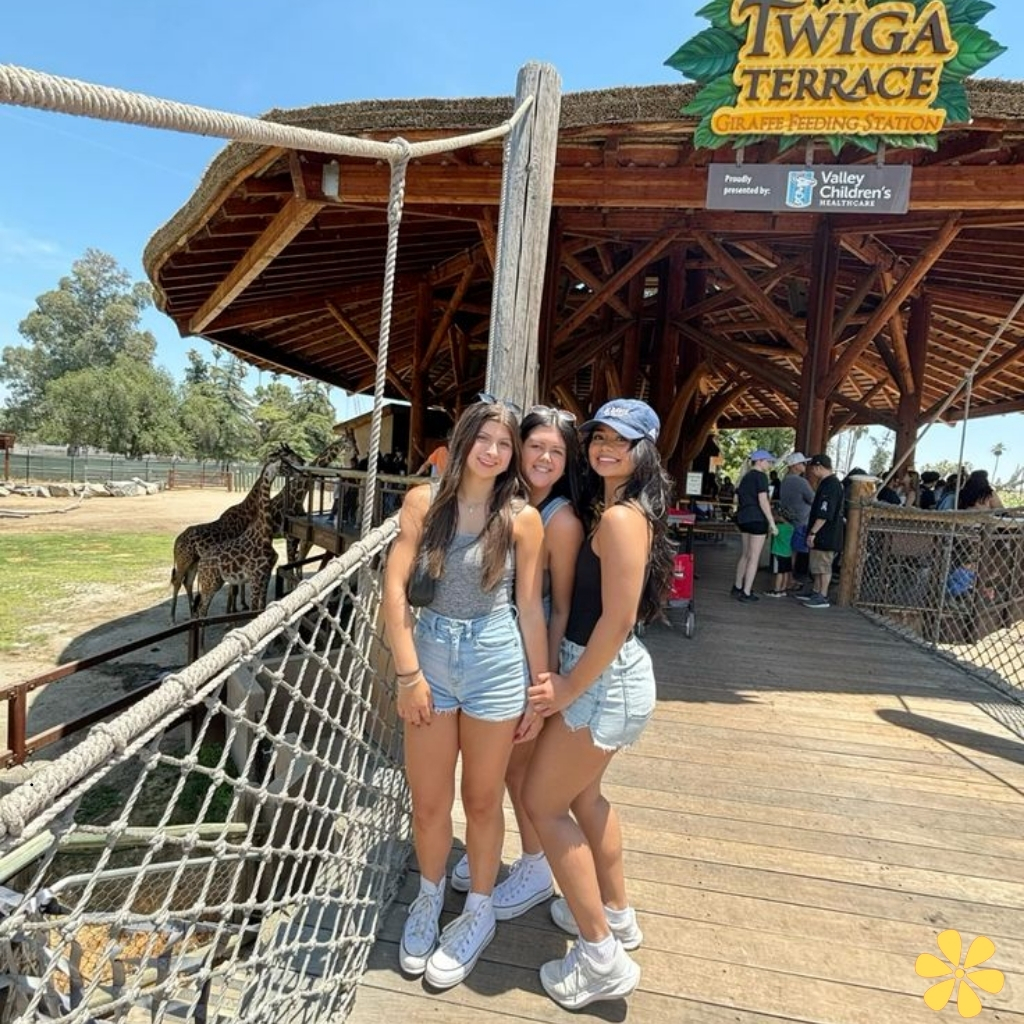 200+ Best Zoo Captions For Instagram That Bring Your Wild Adventures to Life 1 Zoo Captions For Instagram