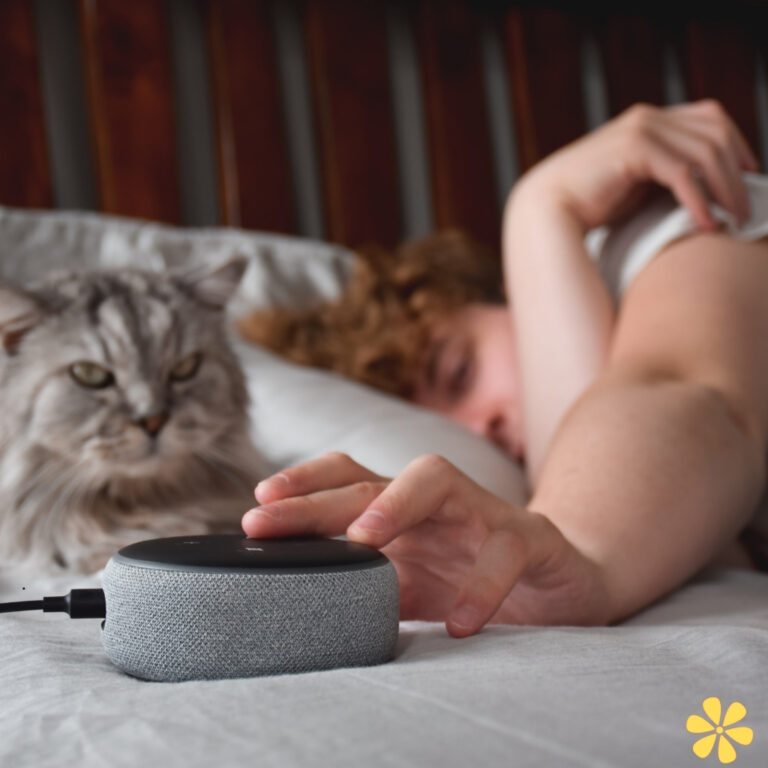 Person reaches for a smart speaker while a cat watches nearby.