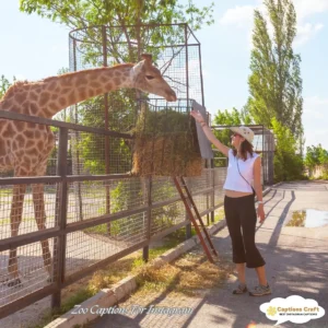 143+ Unforgettable Zoo Captions For Instagram and Quotes That Will Inspire You