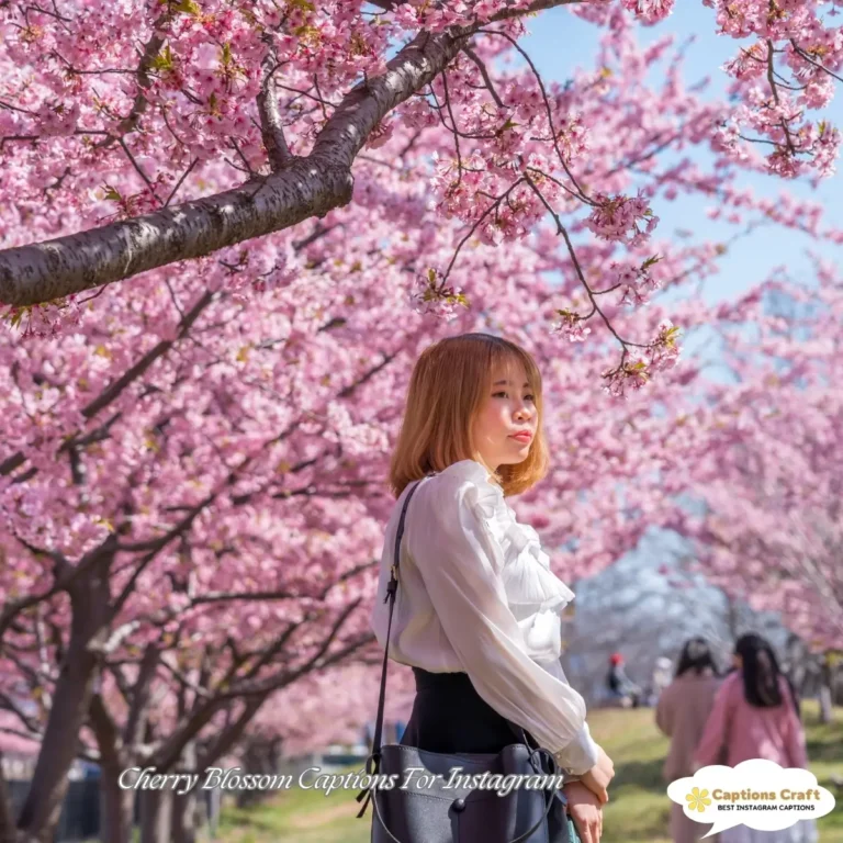 Cherry Blossom Captions For Instagram