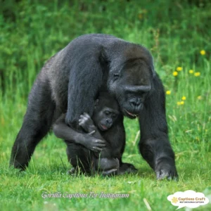 143+ Powerful Gorilla Captions For Instagram and Quotes to Inspire Your Feed