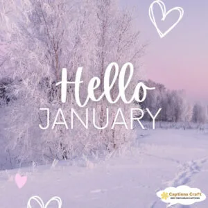 145+ Essential January Captions For Instagram and Quotes to Spark Engagement