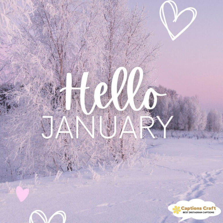 Frost-covered trees with 'Hello January' text overlay.
