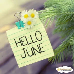 137+ Essential June Captions For Instagram and Quotes to Spark Engagement Now