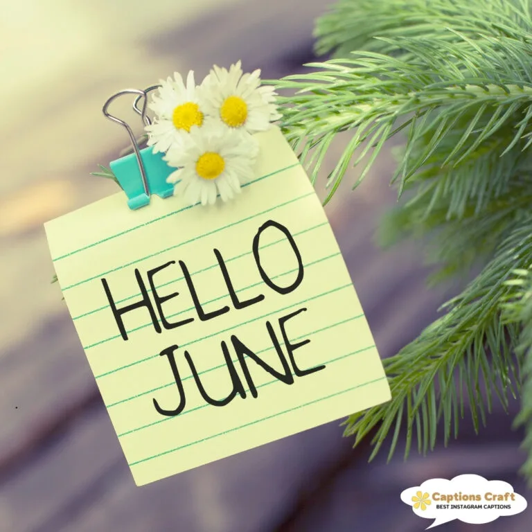 137+ Essential June Captions For Instagram and Quotes to Spark Engagement Now