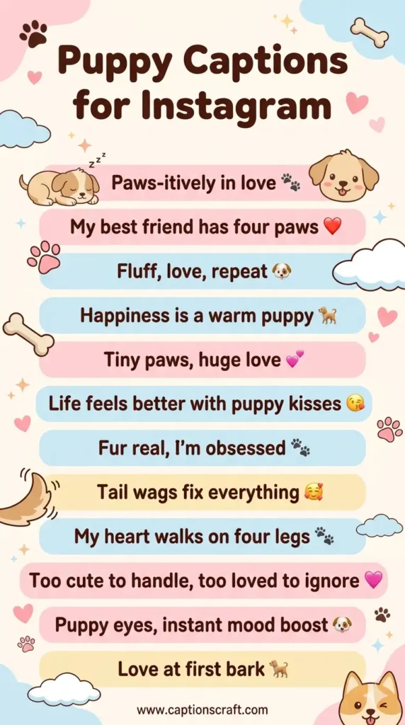 123+ Irresistible Puppy Captions For Instagram and Quotes That Melt Hearts